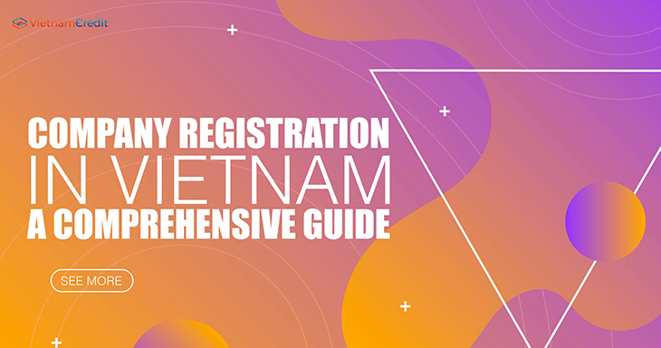 Company registration in Vietnam: a comprehensive guide